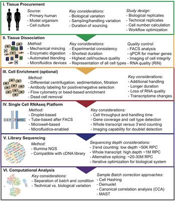 Experimental Considerations for Single-Cell RNA Sequencing Approaches